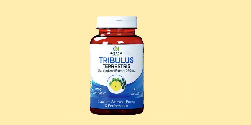 TRIBULUS TERRESTRIS EXTRACT