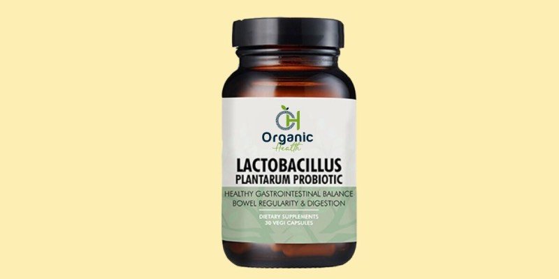 LACTOBACILLUS PLANTARUM